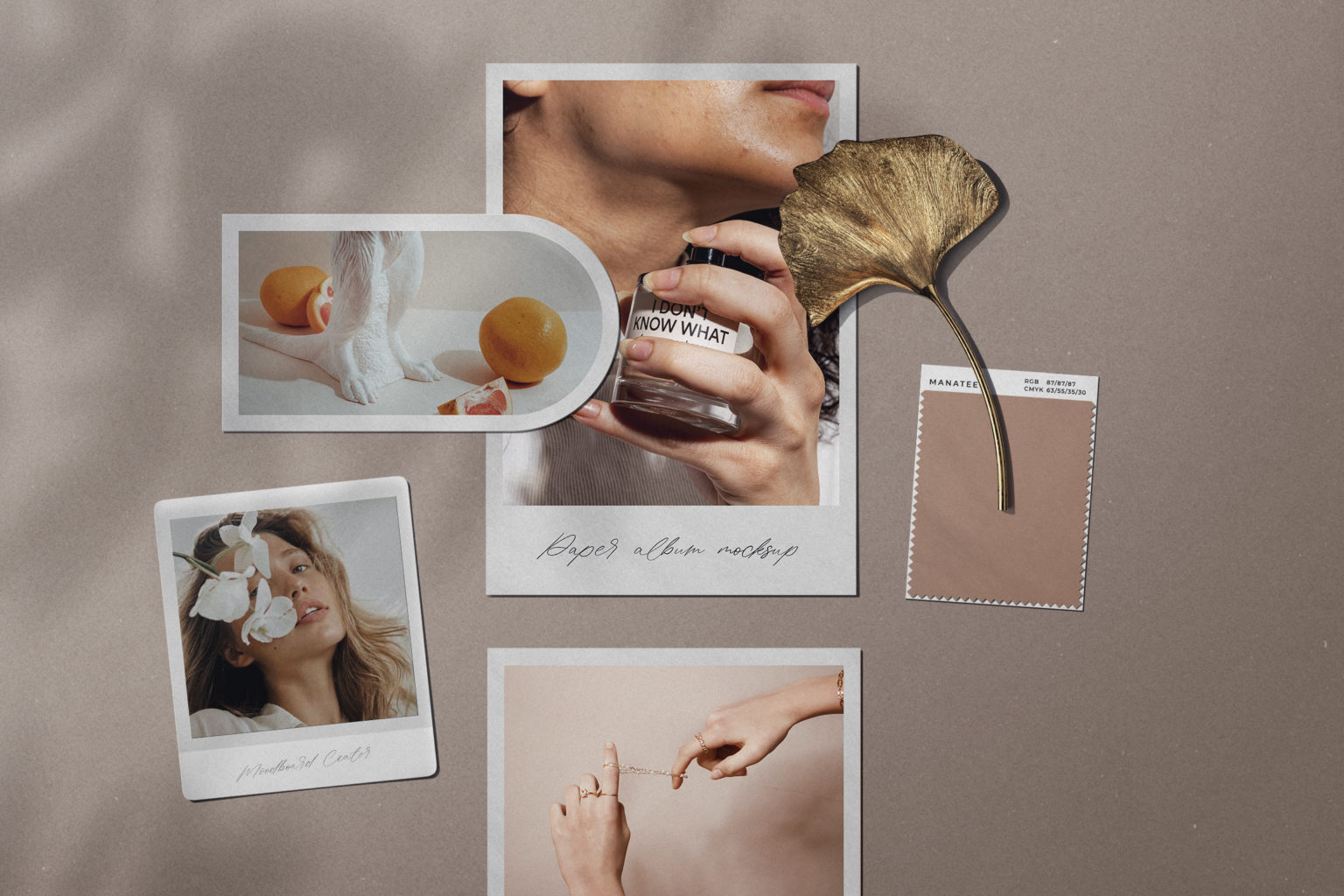 Natural Moodboard Scene With Paper Mockups And Gold Branch | Mockup ...